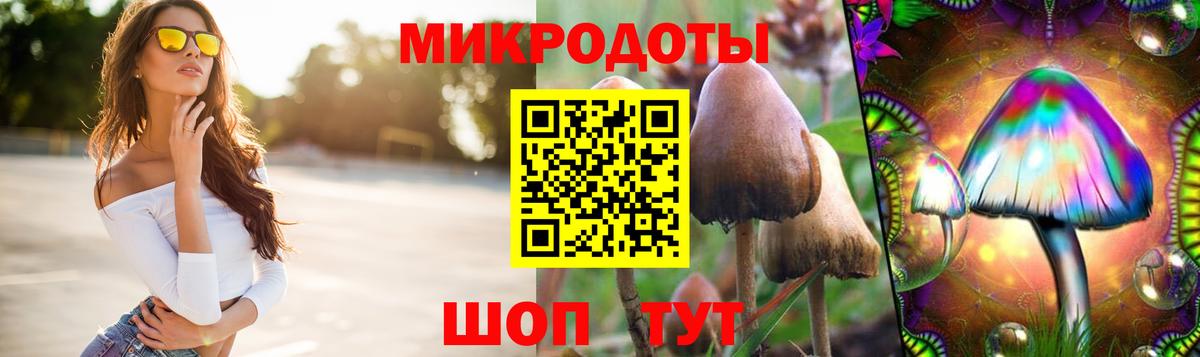 Псилоцибиновые грибы Cubensis  Вход с VPN  Нерюнгри  Галлюциногенные грибы Magic Shrooms 